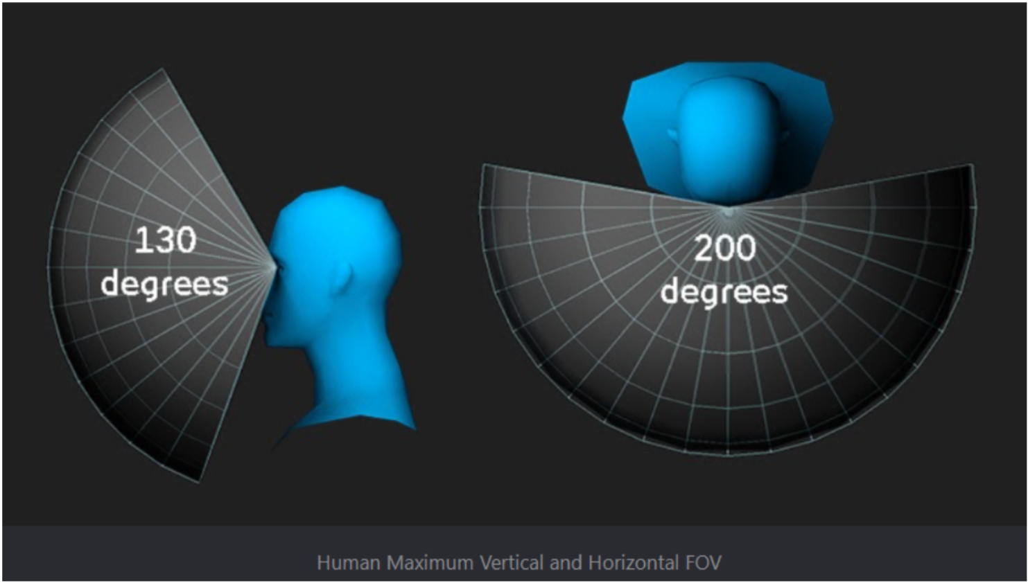 Campos de visão vertical e horizontal máximos para um humano